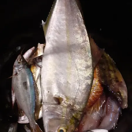 Апартаменты Nikki *