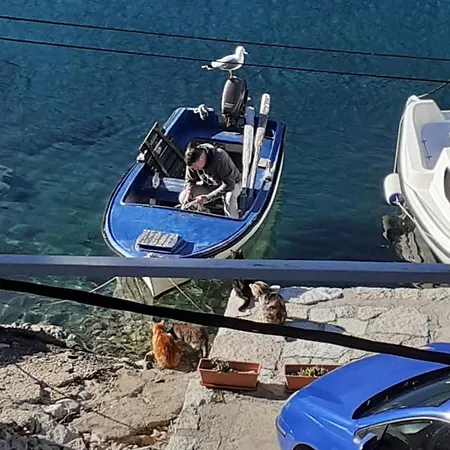 Nikki Appartement Maranovići