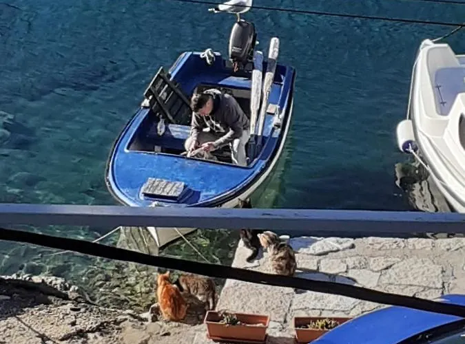 Nikki Appartement Maranovići